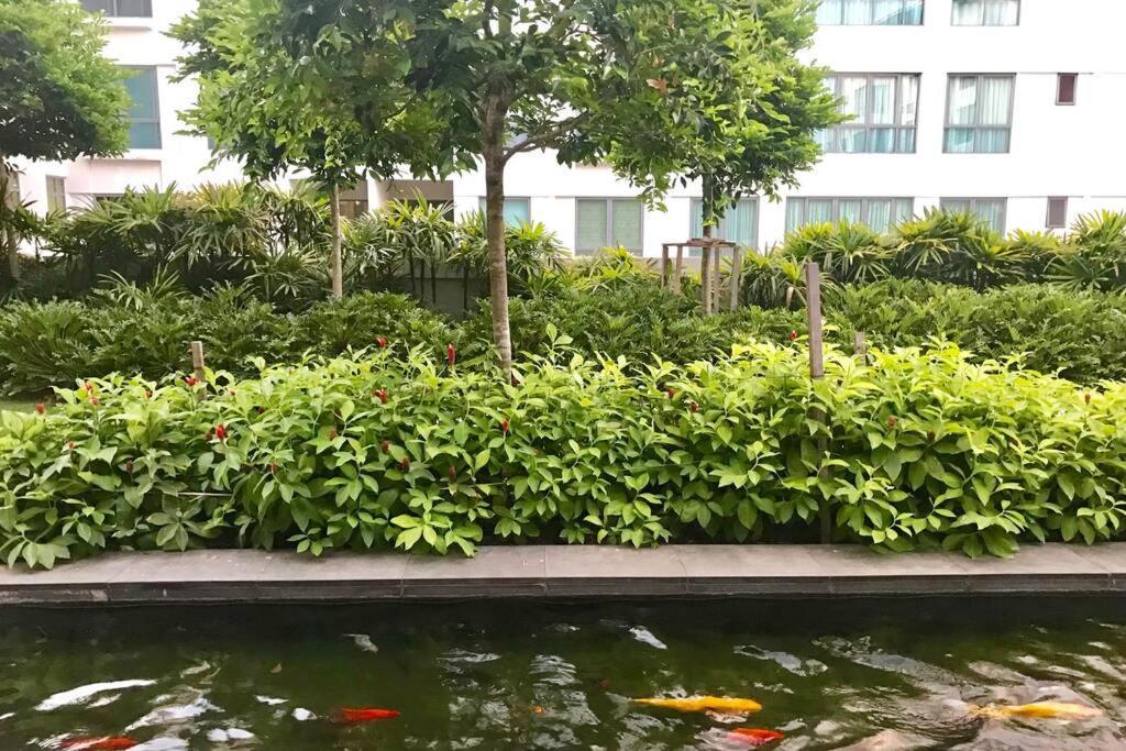 Condo In Imago Mall 亚庇最大商场imago楼里公寓 코타키나발루에서가장큰쇼핑센터아파트 Εξωτερικό φωτογραφία